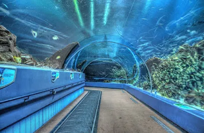 AF1QipMgYfKf88ec YK0iyidt8ubno7d